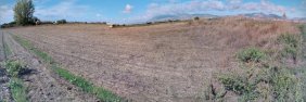 terreno rustico agricola
