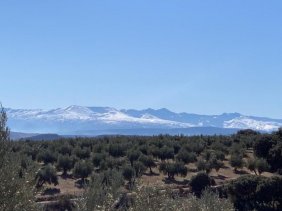 Finca en Venta en  Huelma, Jaen